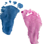 Baby Steps GP logo